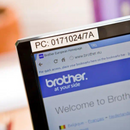 Cinta Brother TZe-231 1/2" (12mm)